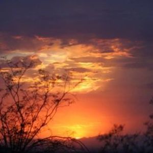 Meet your Posher, Marzia